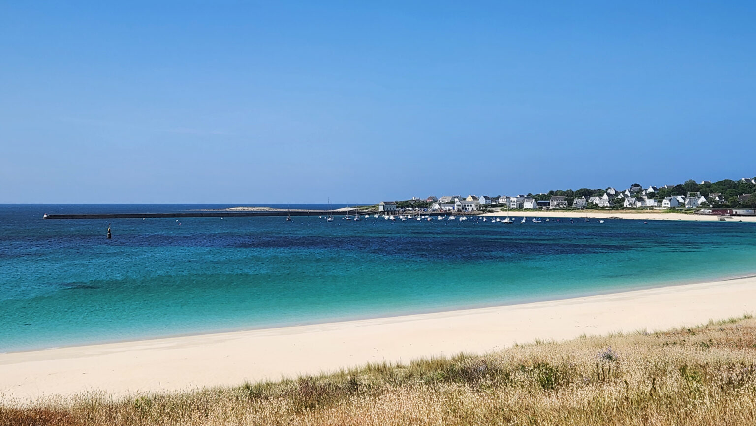 Plage_trescadec_062023 (5)